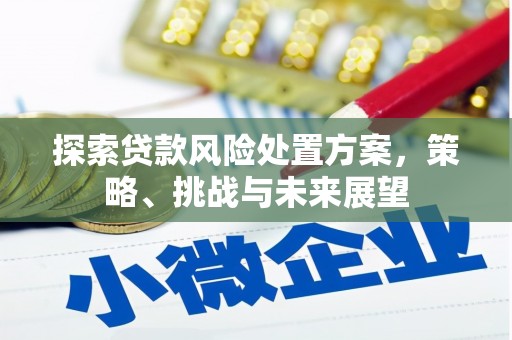 乐东探索贷款风险处置方案，策略、挑战与未来展望