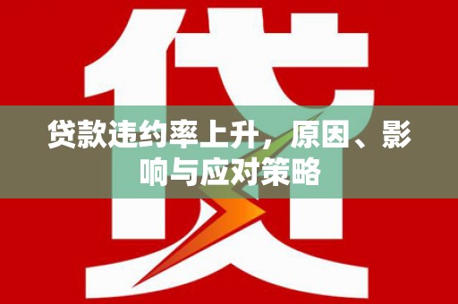 乐东贷款违约率上升，原因、影响与应对策略