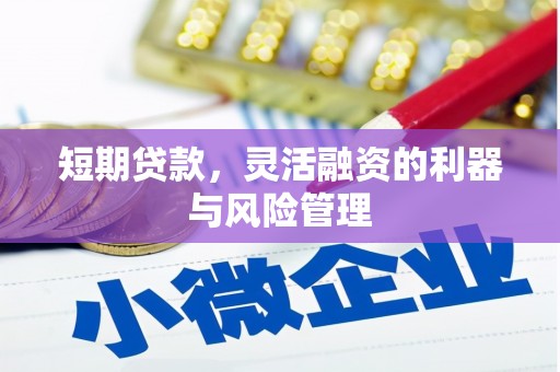 乐东短期贷款，灵活融资的利器与风险管理