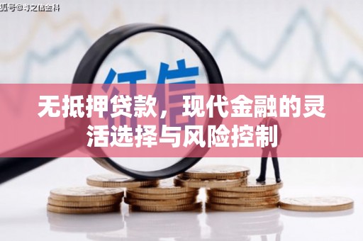 乐东无抵押贷款，现代金融的灵活选择与风险控制