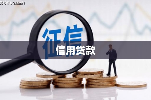 乐东信用贷款