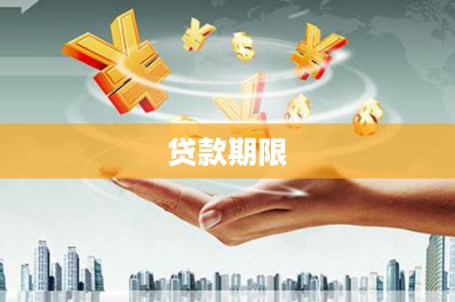 乐东贷款期限