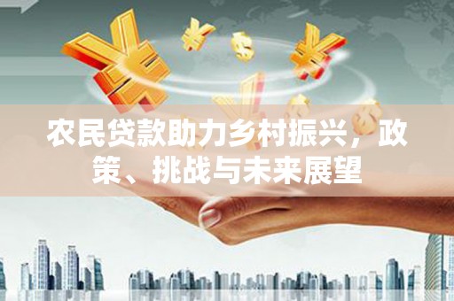 乐东农民贷款助力乡村振兴，政策、挑战与未来展望