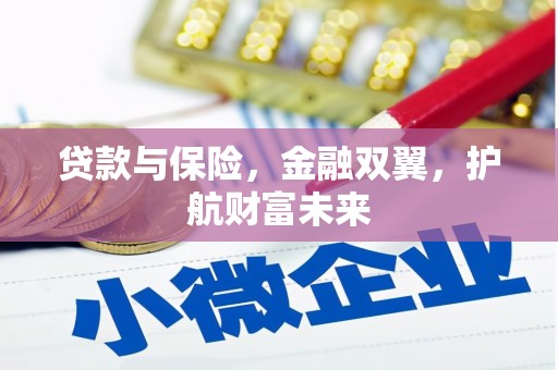乐东贷款与保险，金融双翼，护航财富未来