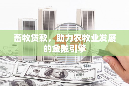 乐东畜牧贷款，助力农牧业发展的金融引擎