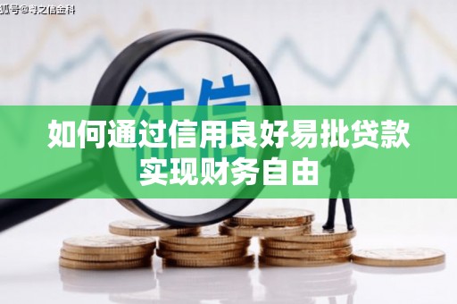 乐东如何通过信用良好易批贷款实现财务自由