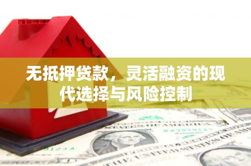 乐东无抵押贷款，灵活融资的现代选择与风险控制