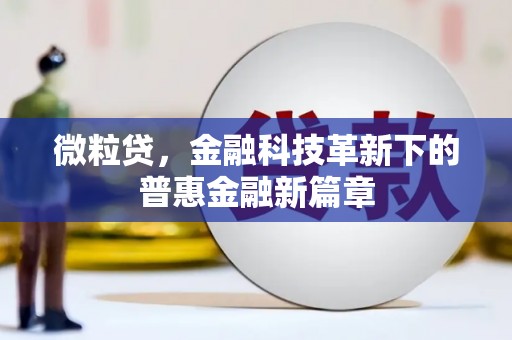 乐东微粒贷，金融科技革新下的普惠金融新篇章