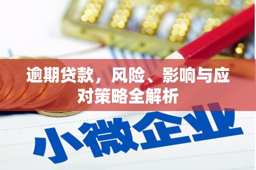 乐东逾期贷款，风险、影响与应对策略全解析