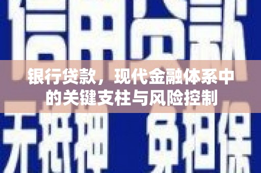 乐东银行贷款，现代金融体系中的关键支柱与风险控制