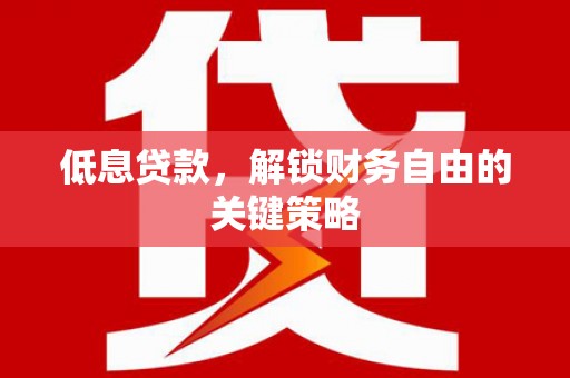 乐东低息贷款，解锁财务自由的关键策略