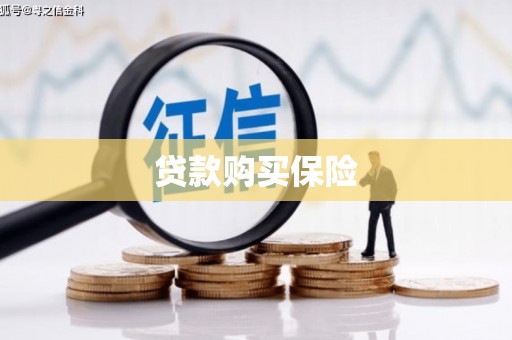 乐东贷款购买保险