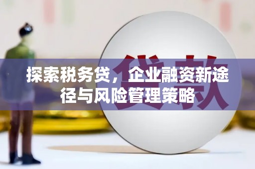乐东探索税务贷，企业融资新途径与风险管理策略