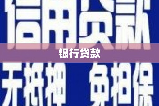 乐东银行贷款