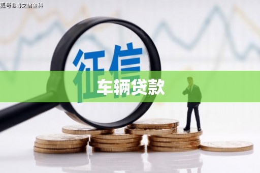 乐东车辆贷款