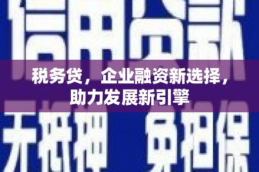 乐东税务贷，企业融资新选择，助力发展新引擎
