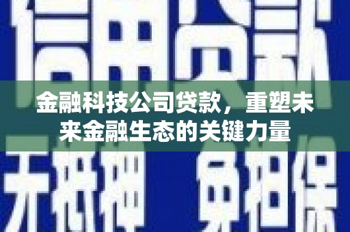 乐东金融科技公司贷款，重塑未来金融生态的关键力量