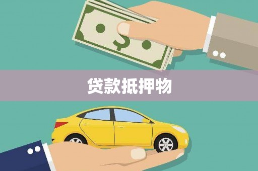 乐东贷款抵押物