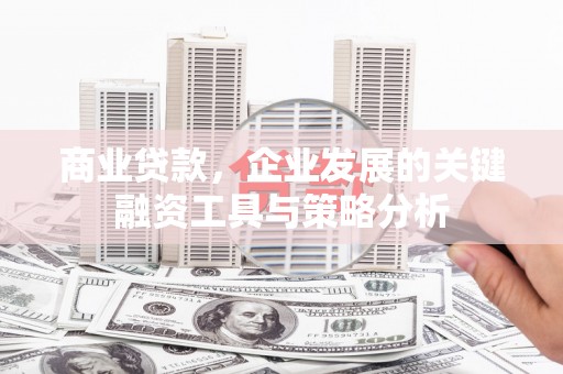 乐东商业贷款，企业发展的关键融资工具与策略分析