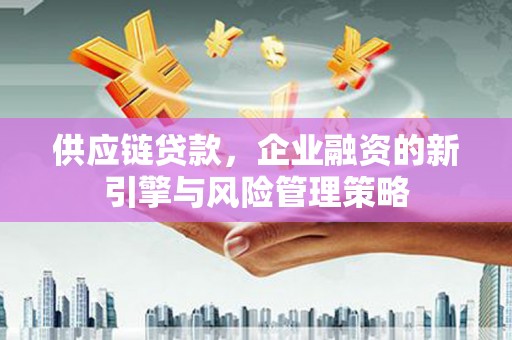 乐东供应链贷款，企业融资的新引擎与风险管理策略