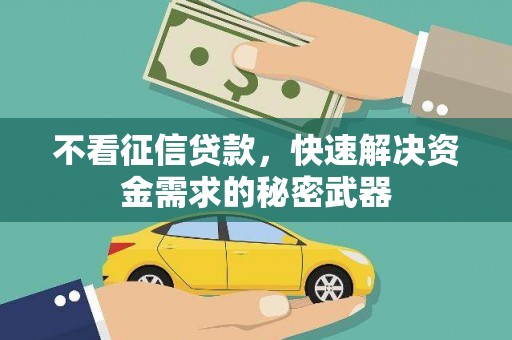 乐东不看征信贷款，快速解决资金需求的秘密武器