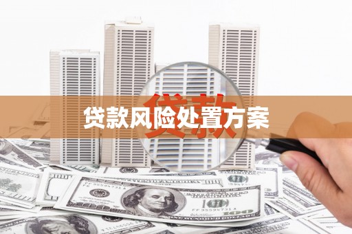 乐东贷款风险处置方案