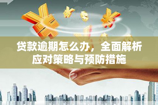乐东贷款逾期怎么办，全面解析应对策略与预防措施