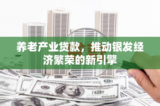 乐东养老产业贷款，推动银发经济繁荣的新引擎