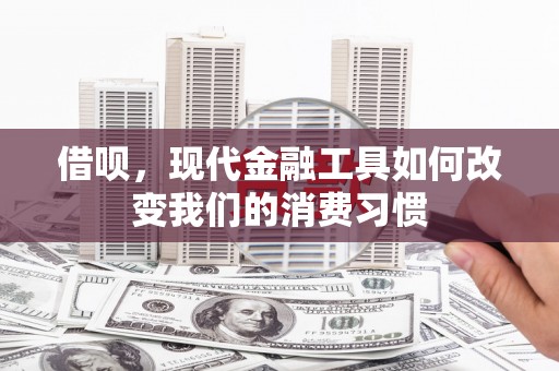 乐东借呗，现代金融工具如何改变我们的消费习惯