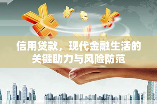 乐东信用贷款，现代金融生活的关键助力与风险防范