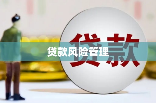 乐东贷款风险管理