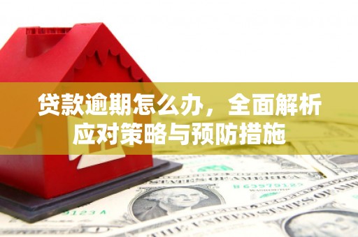 乐东贷款逾期怎么办，全面解析应对策略与预防措施