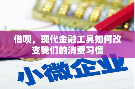 乐东借呗，现代金融工具如何改变我们的消费习惯