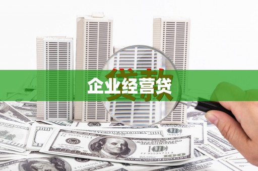 乐东企业经营贷