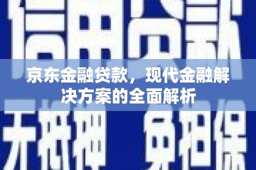 乐东京东金融贷款，现代金融解决方案的全面解析