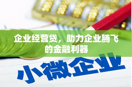 乐东企业经营贷，助力企业腾飞的金融利器