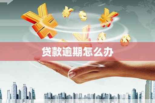 乐东贷款逾期怎么办