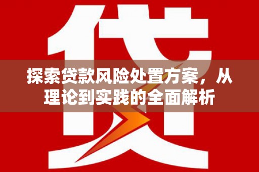乐东探索贷款风险处置方案，从理论到实践的全面解析