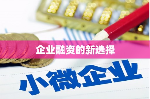 乐东企业融资的新选择