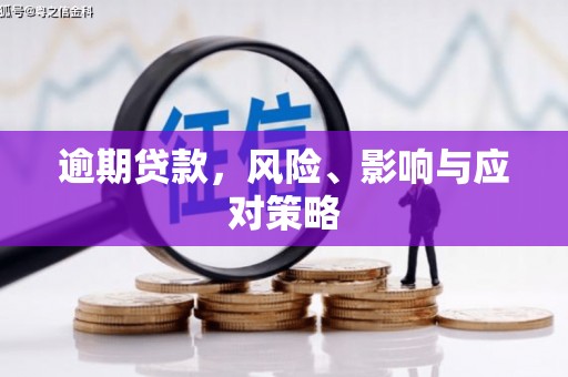 乐东逾期贷款，风险、影响与应对策略