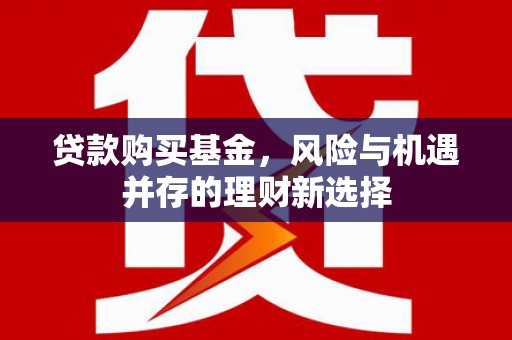 乐东贷款购买基金，风险与机遇并存的理财新选择