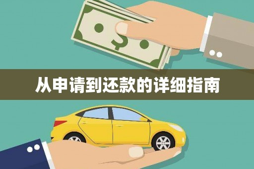 乐东从申请到还款的详细指南