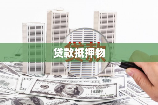 乐东贷款抵押物