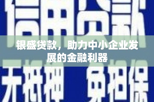乐东银盛贷款，助力中小企业发展的金融利器