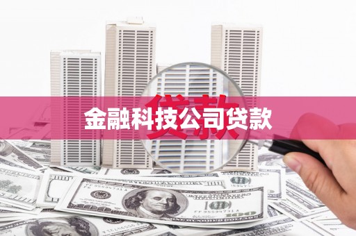 乐东金融科技公司贷款