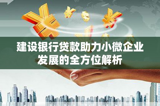 乐东建设银行贷款助力小微企业发展的全方位解析
