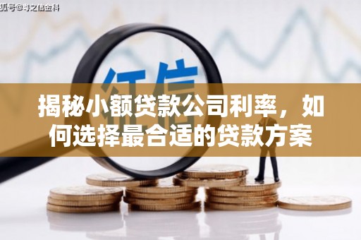 乐东揭秘小额贷款公司利率，如何选择最合适的贷款方案
