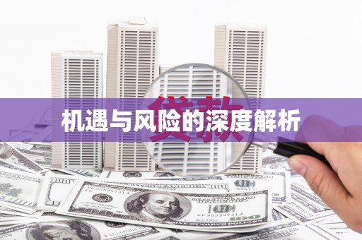 乐东机遇与风险的深度解析