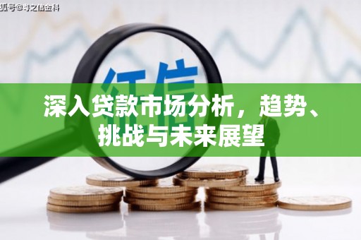 乐东深入贷款市场分析，趋势、挑战与未来展望