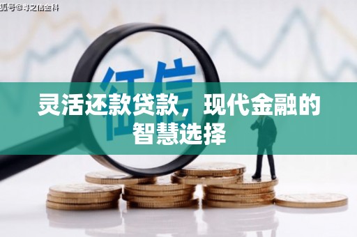 乐东灵活还款贷款，现代金融的智慧选择
